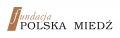Zdjęcie: Fundacja Polska Miedź wspiera bibliotekę w Szkole Podstawowej w Sicinach